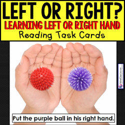 LEFT OR RIGHT HAND Task Cards for Autism TASK BOX FILLER